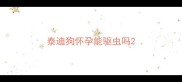 泰迪狗怀孕能驱虫吗