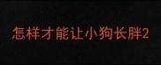 怎样才能让小狗长胖