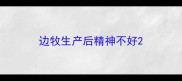 边牧生产后精神不好