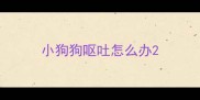 小狗狗呕吐怎么办