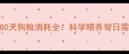 边境牧羊犬幼犬80天狗粮消耗全科学喂养每日需量精准计算公式