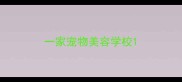 一家宠物美容学校