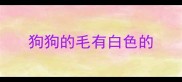 狗狗的毛有白色的