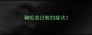 狗疫苗过敏的症状