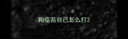 狗疫苗自己怎么打