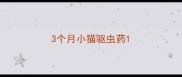 3个月小猫驱虫药