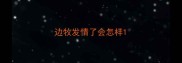 边牧发情了会怎样