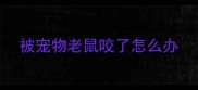 被宠物老鼠咬了怎么办