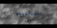 猫咪生病了的动作