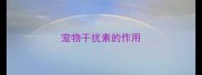 宠物干扰素的作用