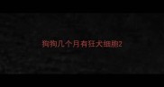 狗狗几个月有狂犬细胞