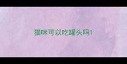 猫咪可以吃罐头吗