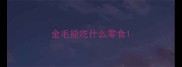 金毛能吃什么零食
