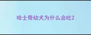 哈士奇幼犬为什么会吐