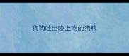 狗狗吐出晚上吃的狗粮