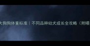 两个月大狗狗体重标准不同品种幼犬成长全攻略附喂养指南