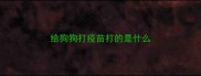 给狗狗打疫苗打的是什么