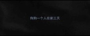狗狗一个人在家三天
