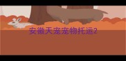 安徽天宠宠物托运