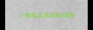 小狗疫苗美国辉瑞捌