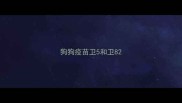 狗狗疫苗卫5和卫8