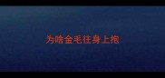 为啥金毛往身上抱