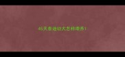 45天泰迪幼犬怎样喂养