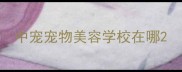 中宠宠物美容学校在哪