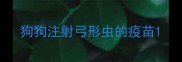 狗狗注射弓形虫的疫苗