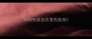 狗狗先驱虫还是先疫苗