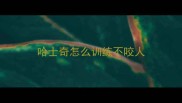 哈士奇怎么训练不咬人