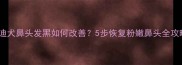 泰迪犬鼻头发黑如何改善5步恢复粉嫩鼻头全攻略