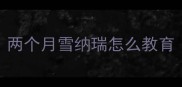 两个月雪纳瑞怎么教育