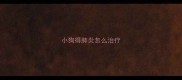 小狗得肺炎怎么治疗