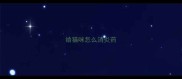 给猫咪怎么消炎药