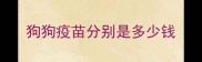 狗狗疫苗分别是多少钱
