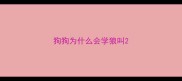 狗狗为什么会学狼叫