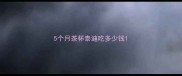 5个月茶杯泰迪吃多少钱