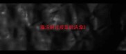 猫注射过疫苗后洗澡