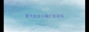 夏天能给小猫打疫苗吗