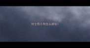 哈士奇小狗怎么辨别
