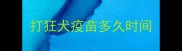 打狂犬疫苗多久时间