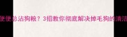 哈士奇便便总沾狗粮3招教你彻底解决掉毛狗的清洁难题