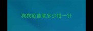 狗狗疫苗联多少钱一针