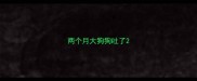 两个月大狗狗吐了