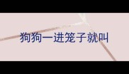 狗狗一进笼子就叫
