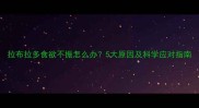 拉布拉多食欲不振怎么办5大原因及科学应对指南