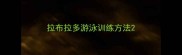 拉布拉多游泳训练方法