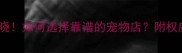 全国宠物店排名揭晓如何选择靠谱的宠物店附权威榜单及避坑指南