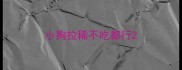 小狗拉稀不吃都行